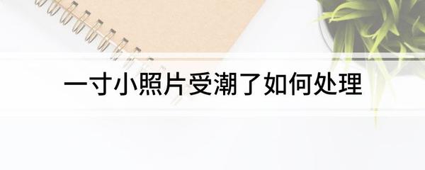新毛筆使用前怎么處理