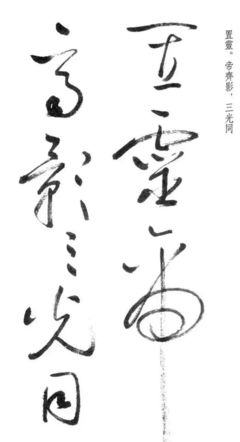 后的草書