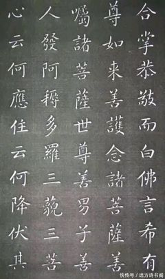 金剛經(jīng)書法作品 欣賞