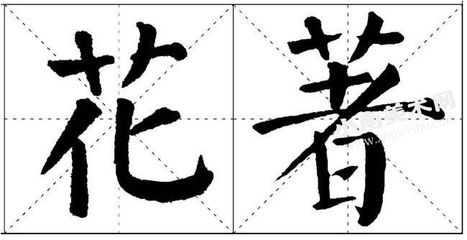 花的楷書寫法,花楷書寫法毛筆
